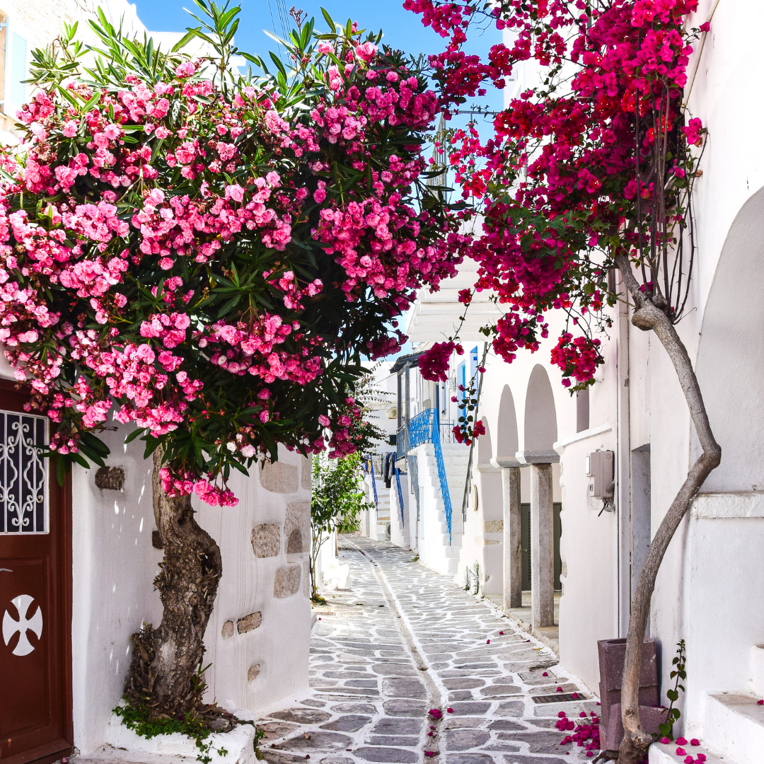 The Property Hotspots of Greece