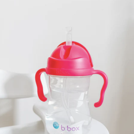 Bbox Water Bottle and Bbox Dummies Review