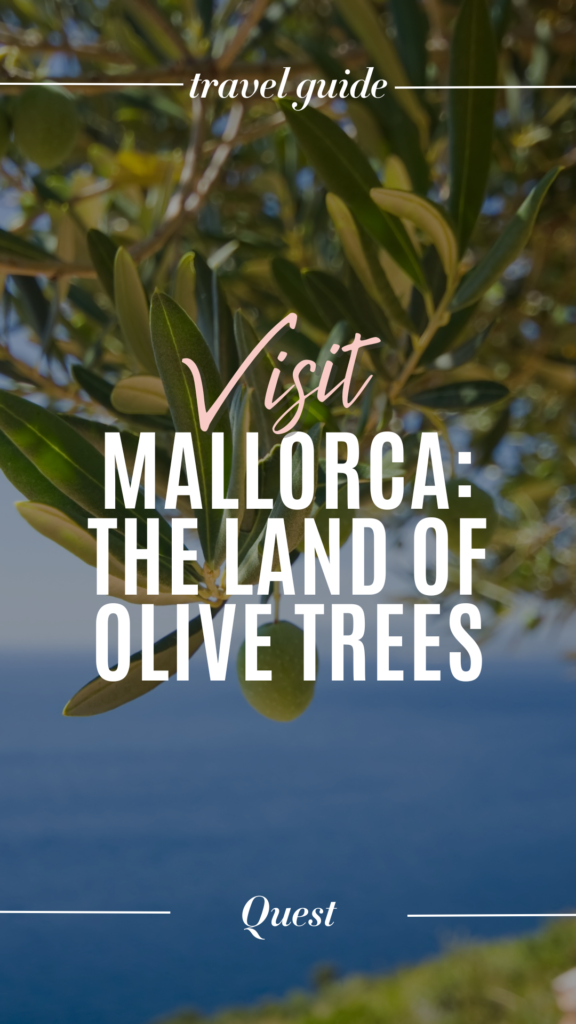 A Summer Vacation in the Land of Olive Trees